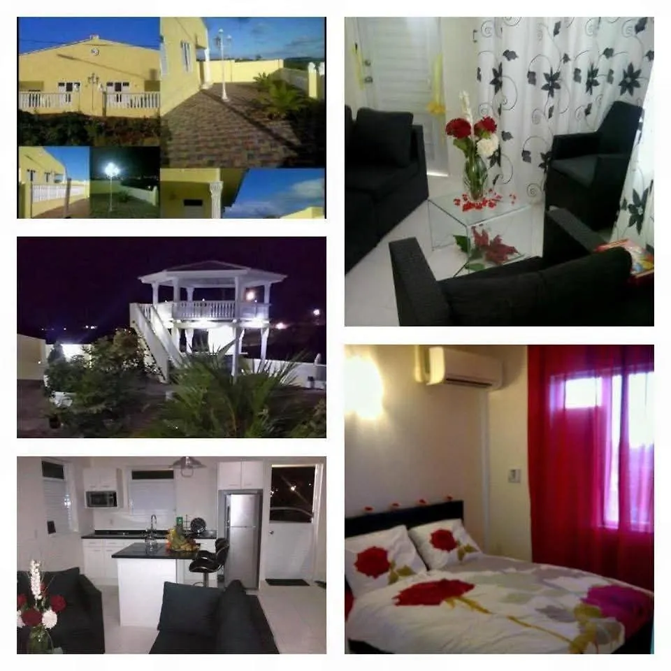 Lion Appartementen Grote Berg